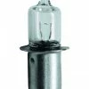SIGMA SPORT Scheinwerferlampe Halogen 6V 2,4W